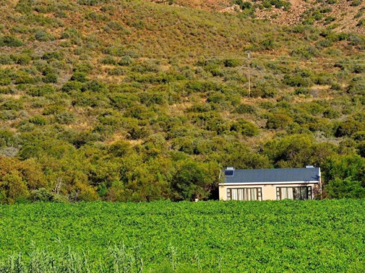 Mymering Wine&Guest Estate Ladismith Exterior foto
