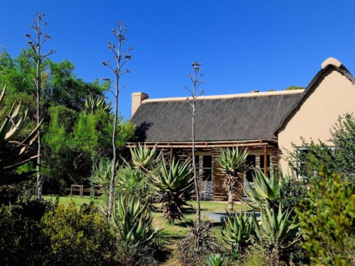 Mymering Wine&Guest Estate Ladismith Habitación foto